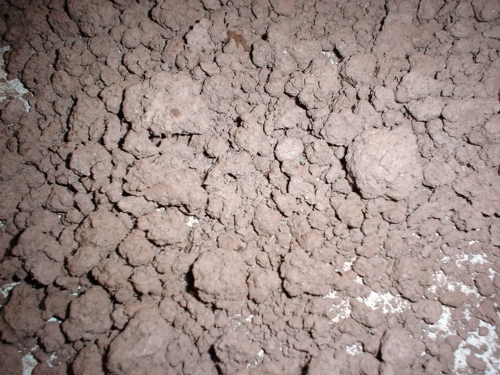 DYI My take on a clay based substrate. Dendroboard